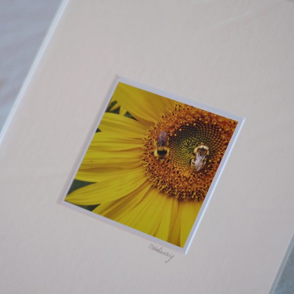"Let's Bee Friends" Mini Photography Art Print - Picture 2 of 3